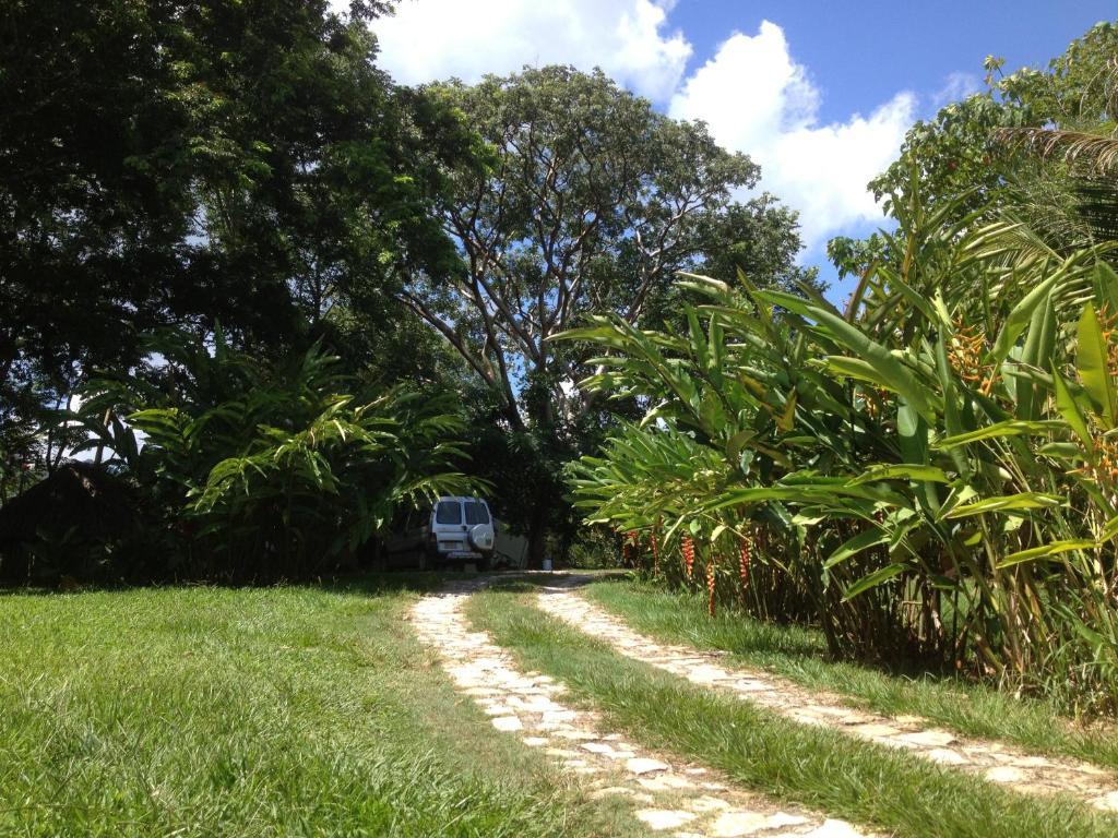 El Colombre Villa Palenque Buitenkant foto