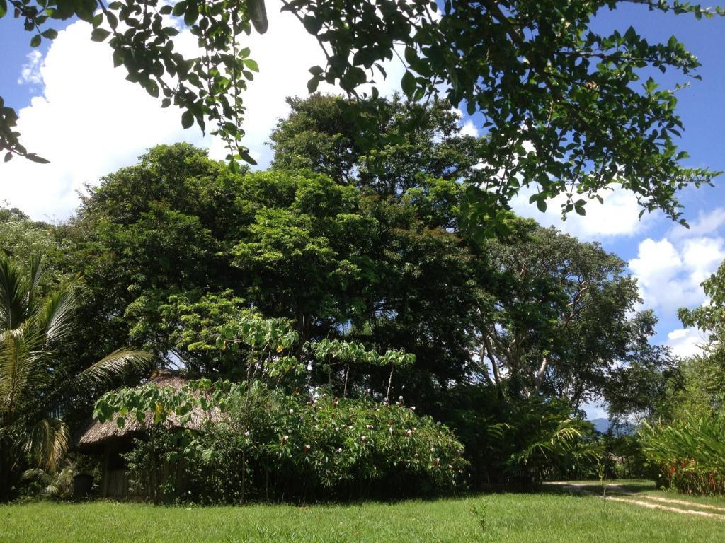 El Colombre Villa Palenque Buitenkant foto